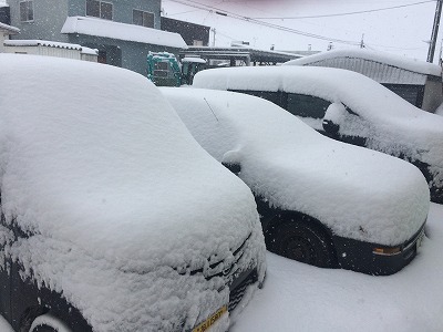 これって、なごり雪ですか。