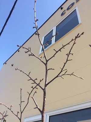 最終日です。