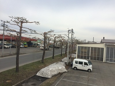 いっぱい取れるかな。