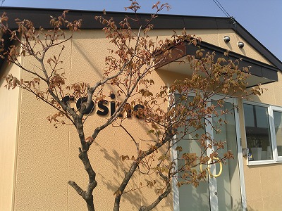 6月は旭川へ来てね。
