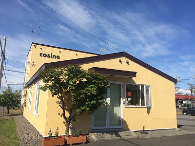 クワガタもカッター屑がお好き。
