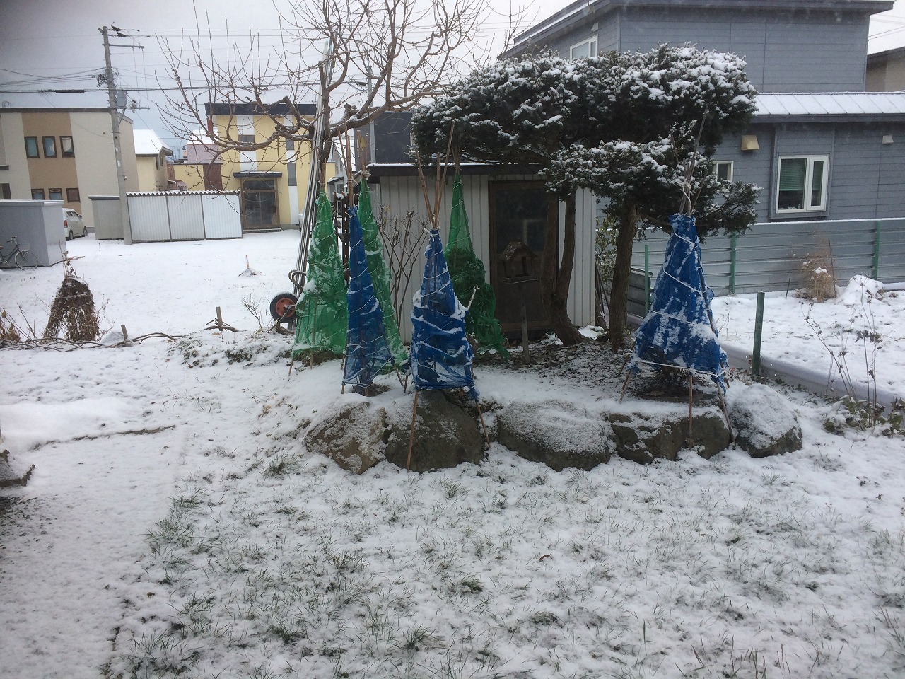 コサイン  星幸一の「つながる、仕合せ」