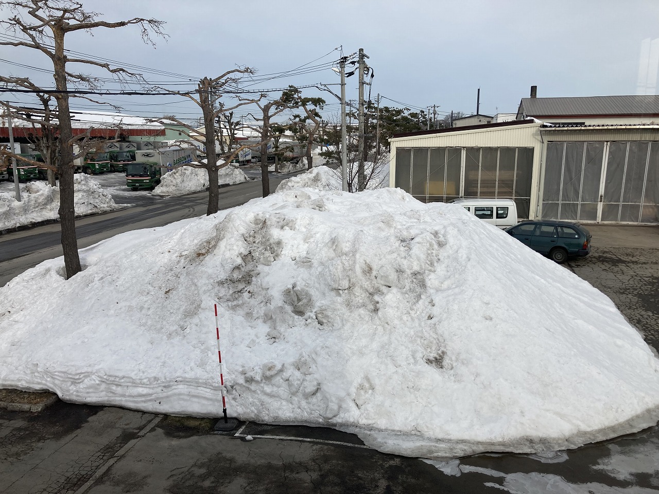 コサイン 星幸一の「つながる、仕合せ」