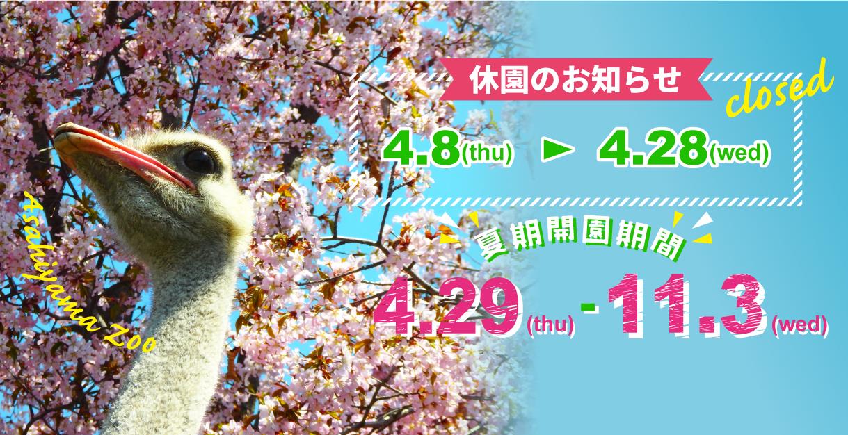 コサイン 星幸一の「つながる、仕合せ」
