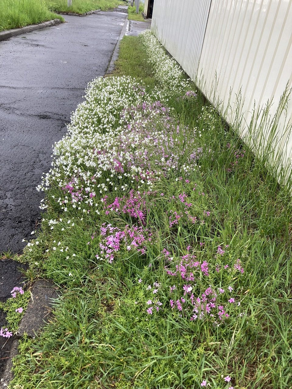 コサイン 星幸一の「つながる、仕合せ」