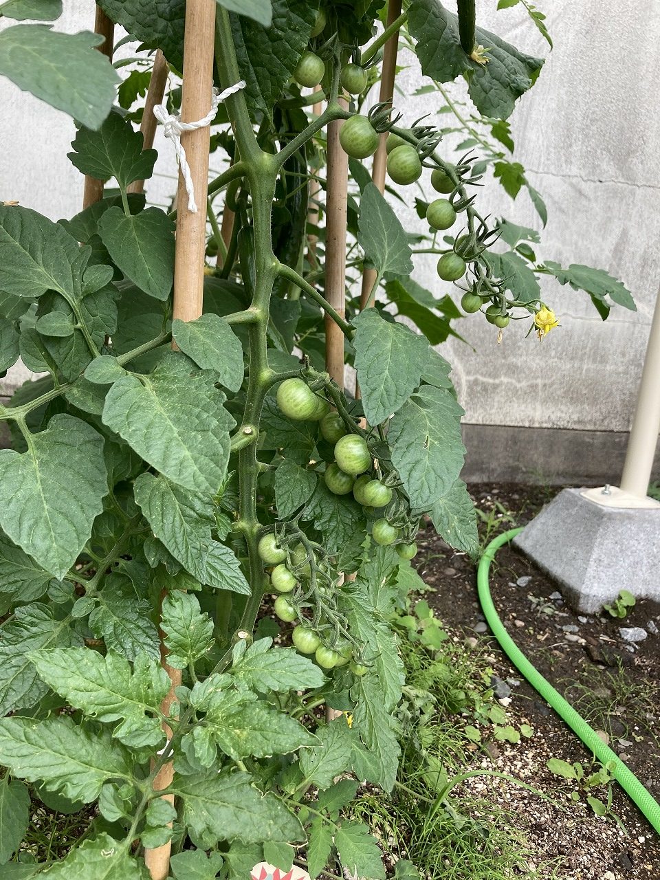 コサイン 星幸一の「つながる、仕合せ」