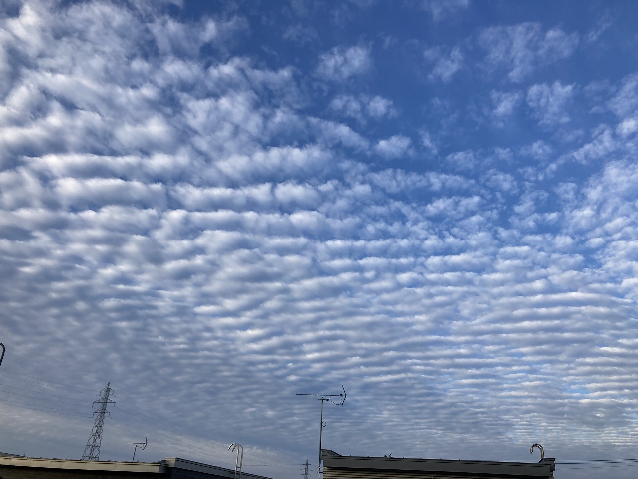 No.3434　2022年9月26日　コサイン 星 幸一の 「つながる、仕合せ」