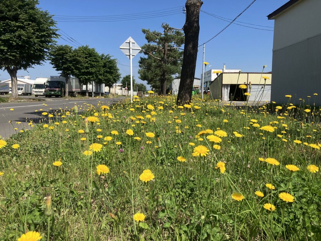 No.3571　 2023年6月26日　コサイン 星 幸一の 「つながる、仕合せ」