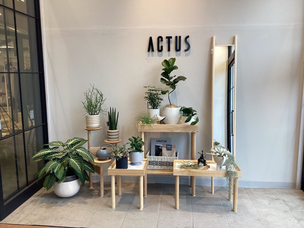 「アクタス仙台店で、暮らしを彩るアイテムが勢ぞろい！」NO.3659