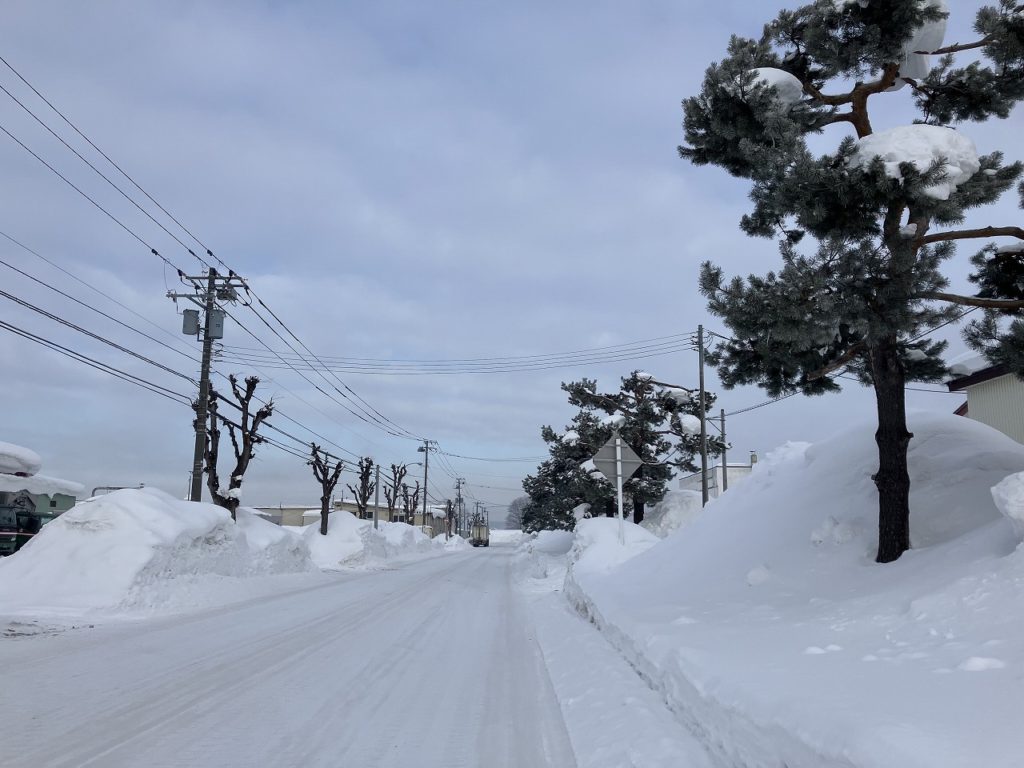 冬の遊び心：氷と雪で彩る、楽しいひととき