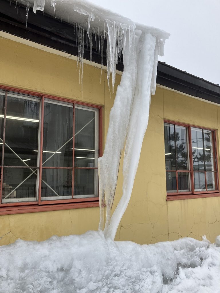 雪に埋もれた氷柱花と温かいお客様の笑顔