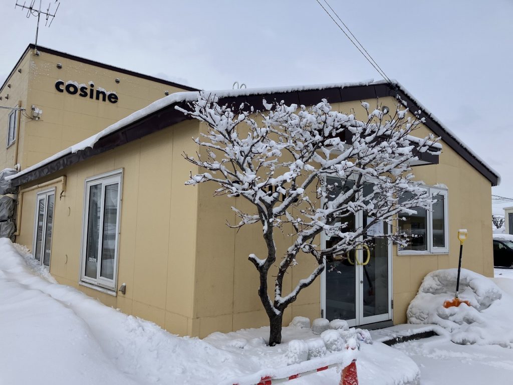 「一夜にして冬景色：雪解けと降雪の繰り返し」
