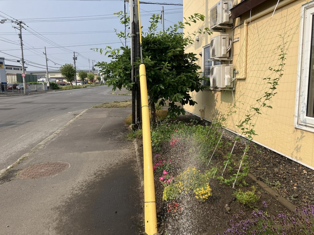 暑い夏の日に花壇と自宅の畑を守るための工夫