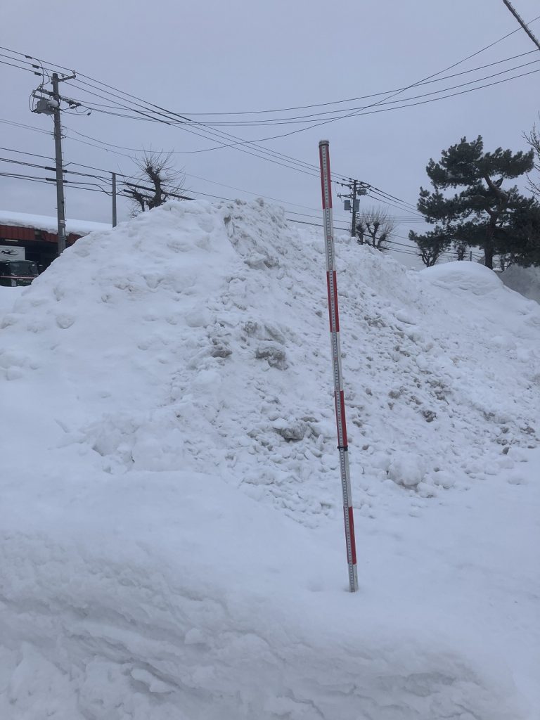 「雪解けと一緒に踏み出す新しい一歩」