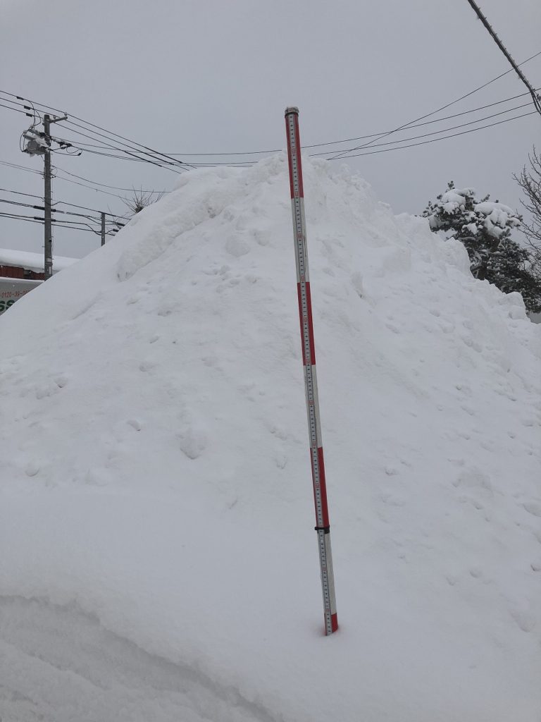 ❄️ 冬の景色と偉大なデザイナーの想い出 🌿