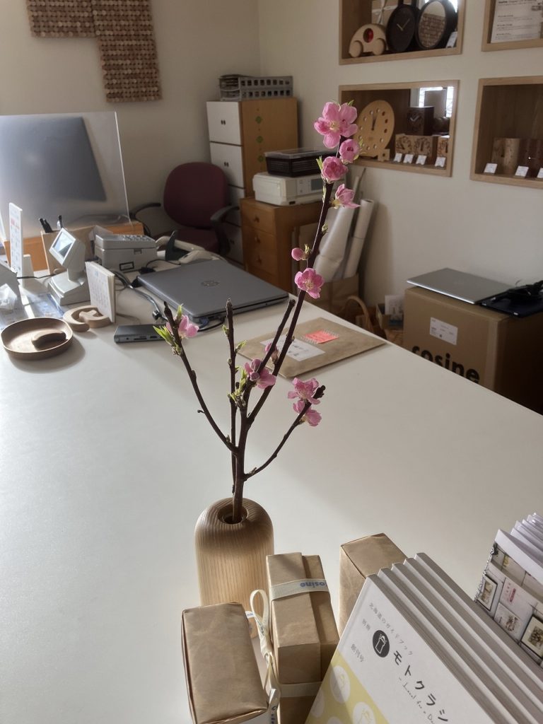 🌸「静かな本店に春の気配 〜アウトレットコーナーの魅力〜」🌸