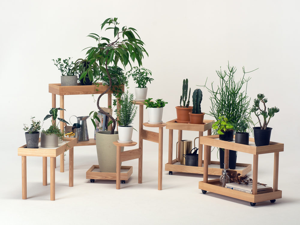 コサインアイテムも登場します！カンディハウス大阪“A Life With Green” [大阪]