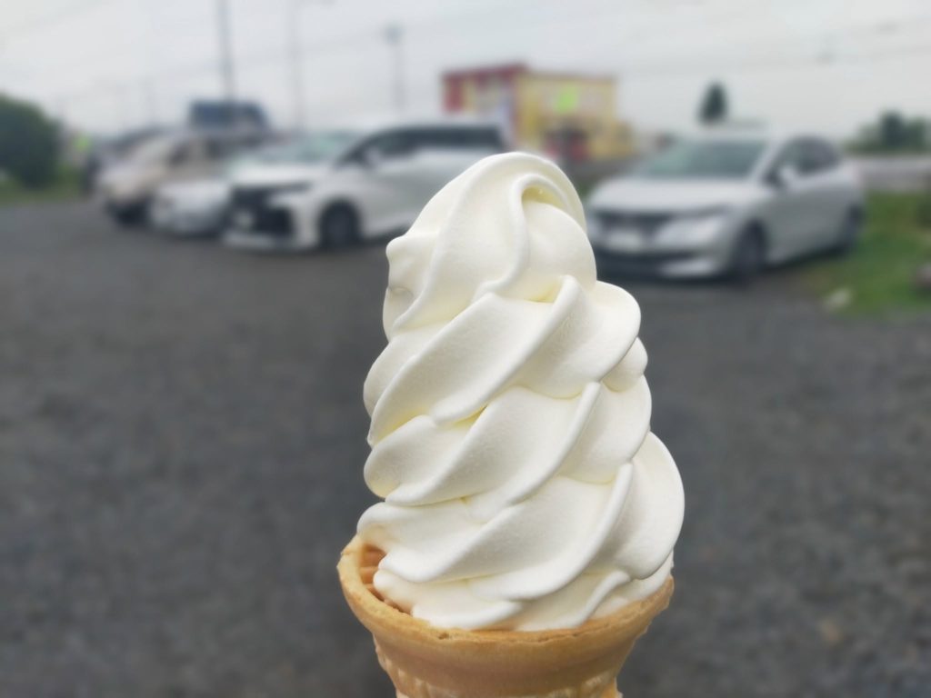 森とともに、暮らしに寄り添う夏のはじまり──セールと再開のお知らせ