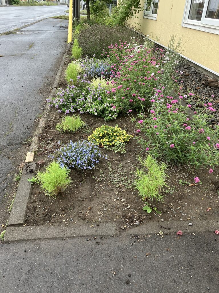 ☔びしょ濡れでも笑顔で出社！モクモクフェスタの準備、着々と🌿