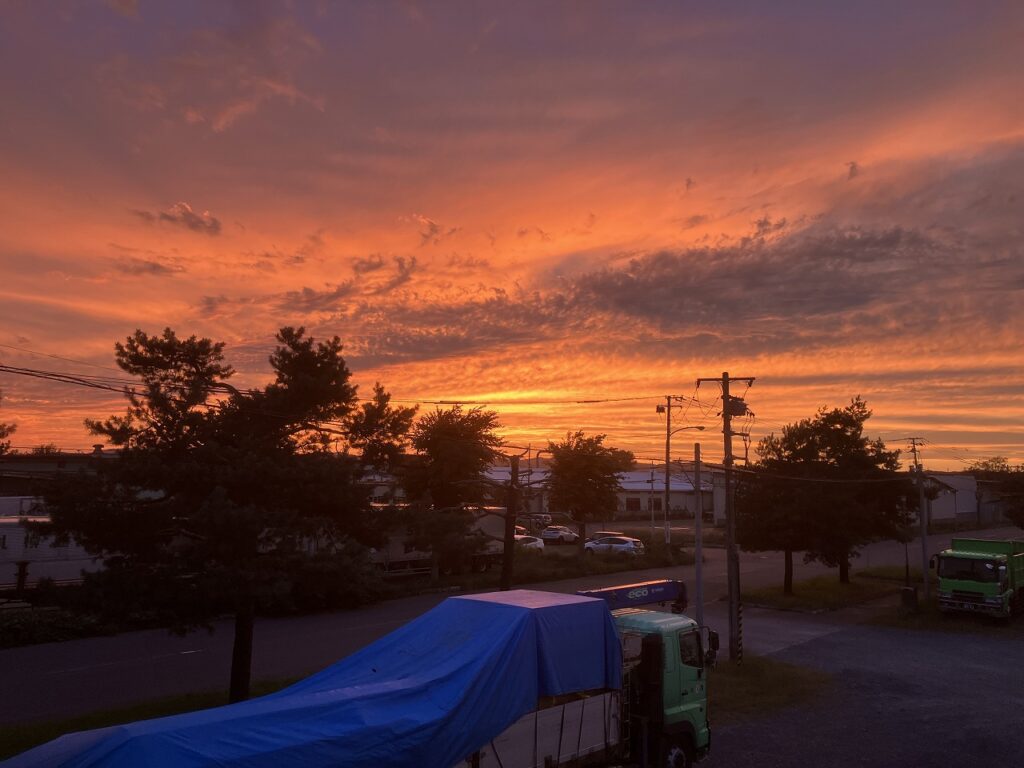 秋晴れとほうき草、森の香りとともに🍁