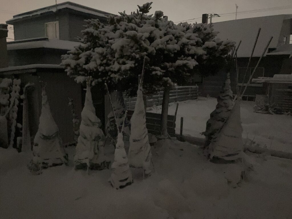 雪の朝に、静かにはじまるものづくりの日 ❄️🌿