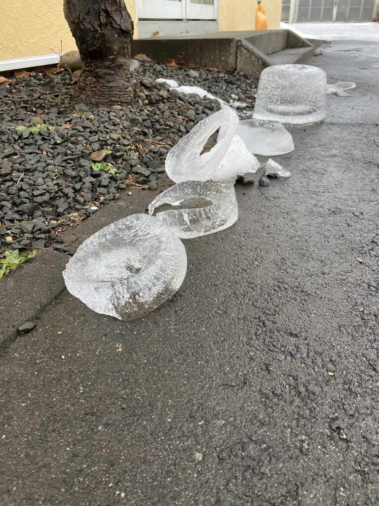 雨のあとに映る、冬のきらめき。旭川の夜と、暮らしに灯る小さな幸せ✨