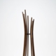 branch