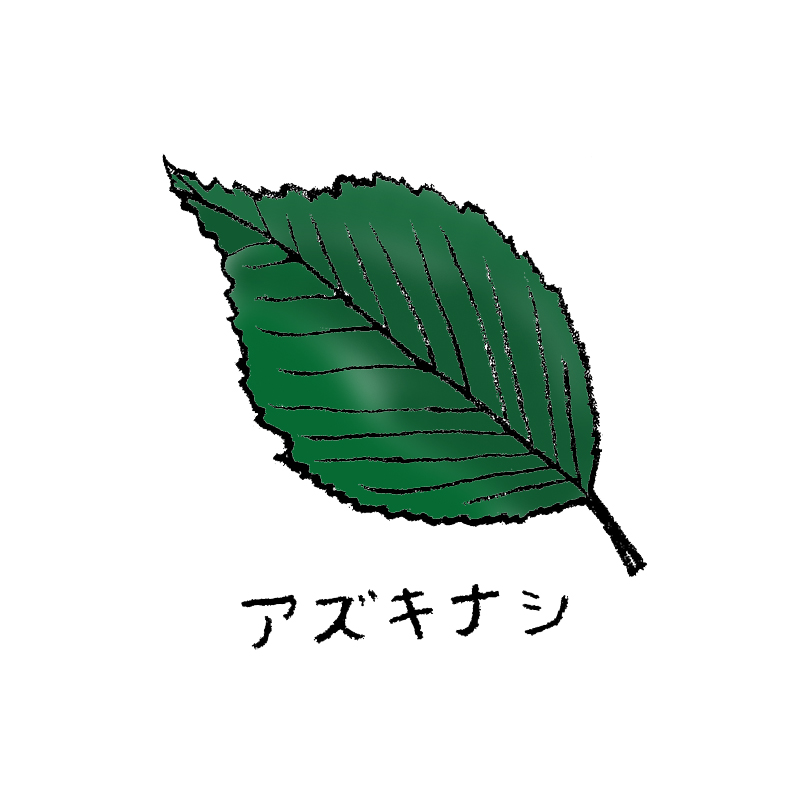アズキナシ